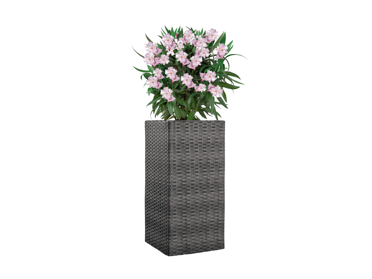 Wicker Planter