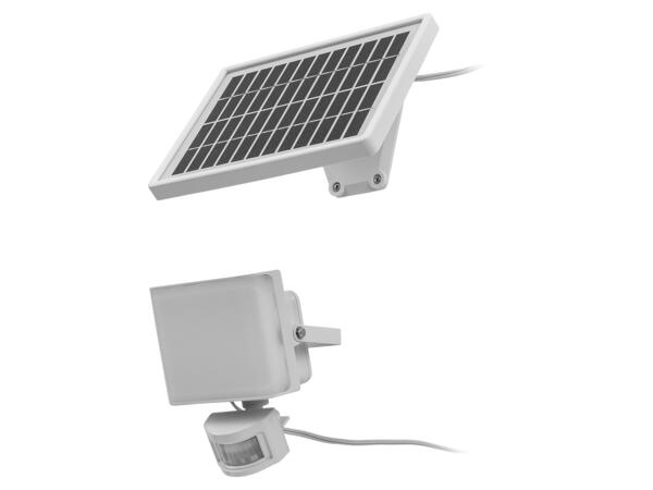 LED Solar Light with Motion Detector