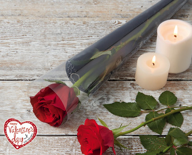 Single Premium Red Rose