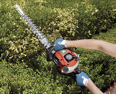 25.4CC Petrol Hedge Trimmer