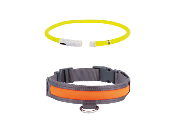 LED-hundhalsband