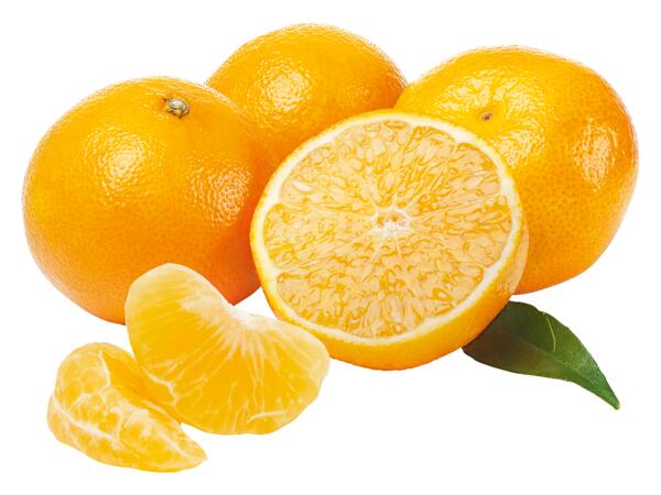 Klementiner