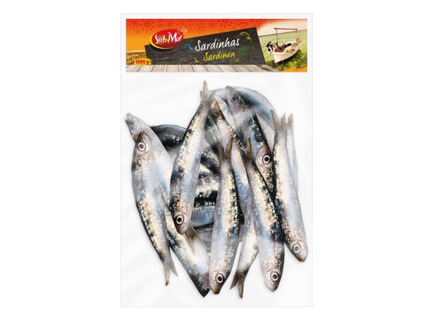 Sardinen