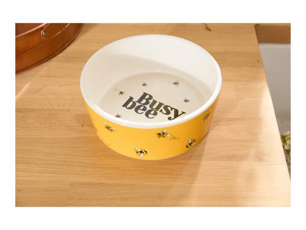 Ceramic Pet Bowl