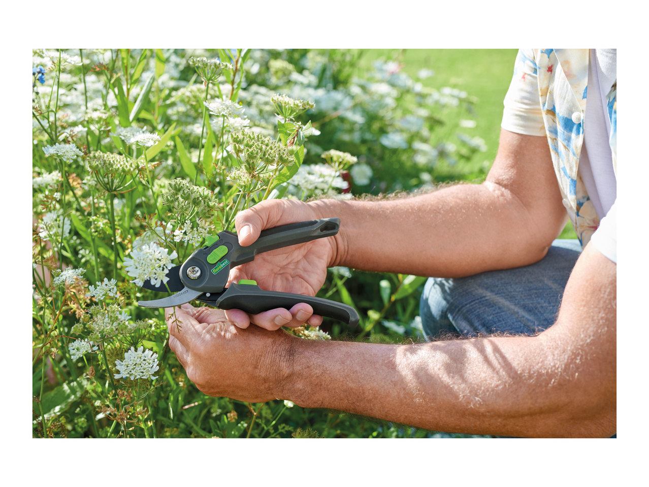 Florabest Anvil or Bypass Secateurs1