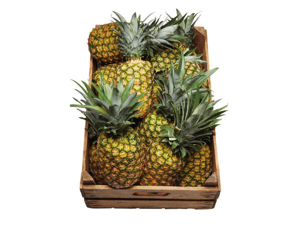 Ananas