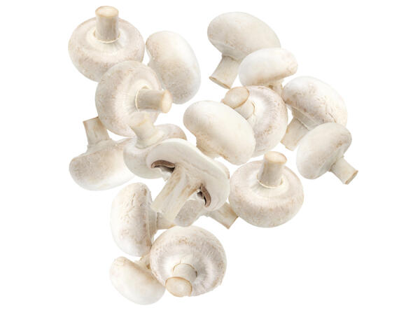 Champignons weiß