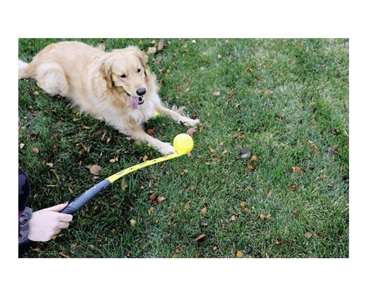 Heart to Tail 
 Collapsible Ball Launcher