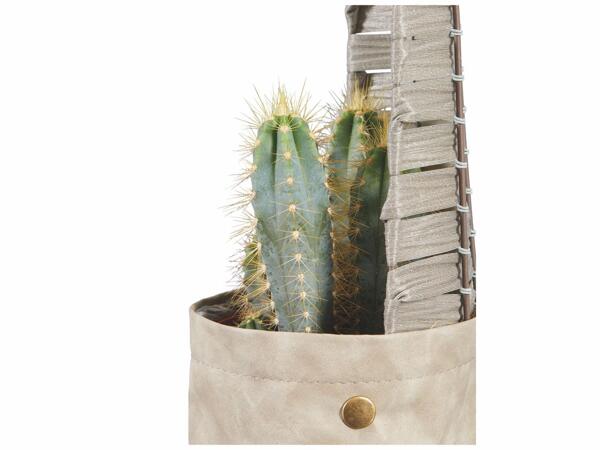 Cactus en pot déco
