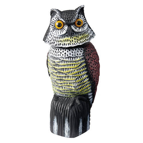 Wiggle Owl