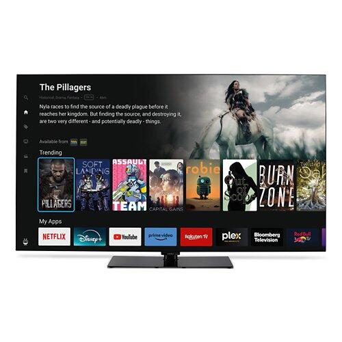 MEDION 65" (163,9cm) OLED UHD TiVo Smart TV X8652508 (MD865901)