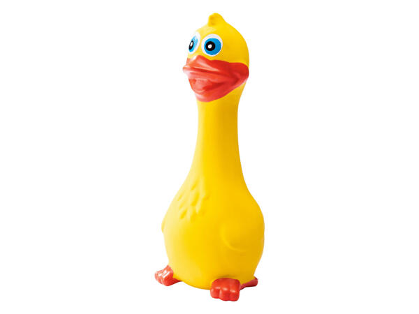 Dog Toy