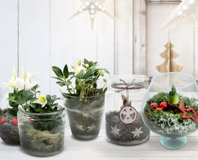 Weihnachtliches Glasarrangement