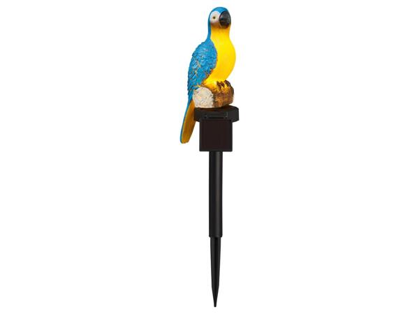 Decorative solar light