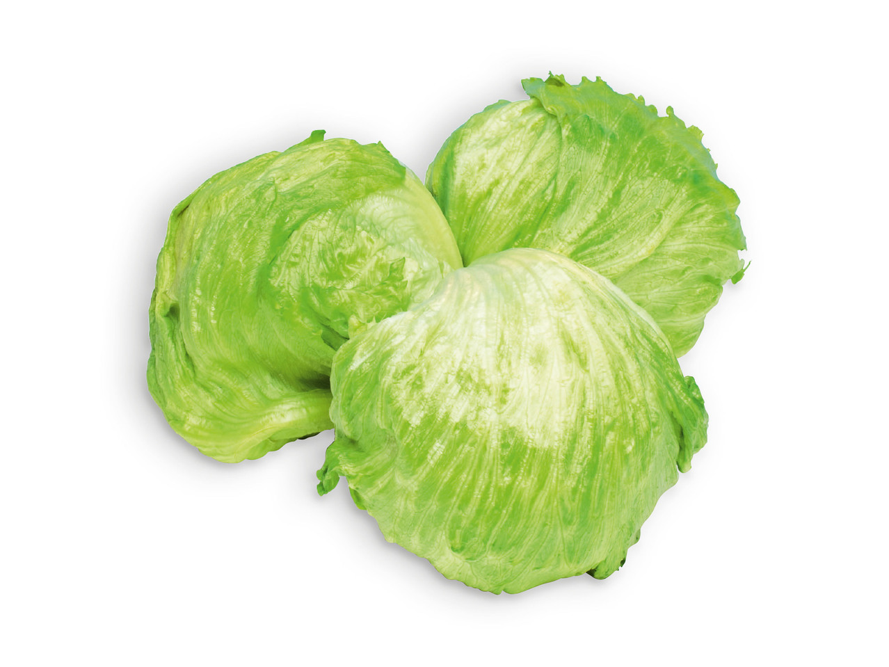 Alface Iceberg
