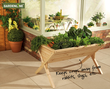 Raised Growing Trough