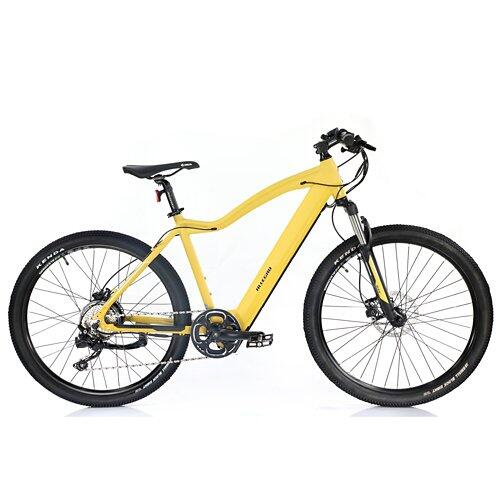 ALLEGRO Invisible E-MTB AXIM°03 19", Corn