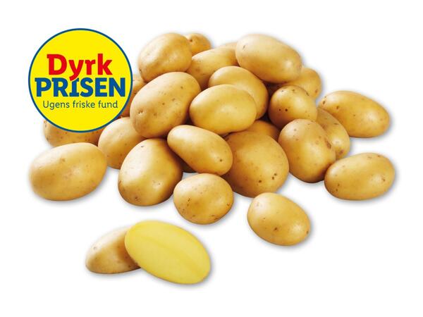 Lammefjordskartofler