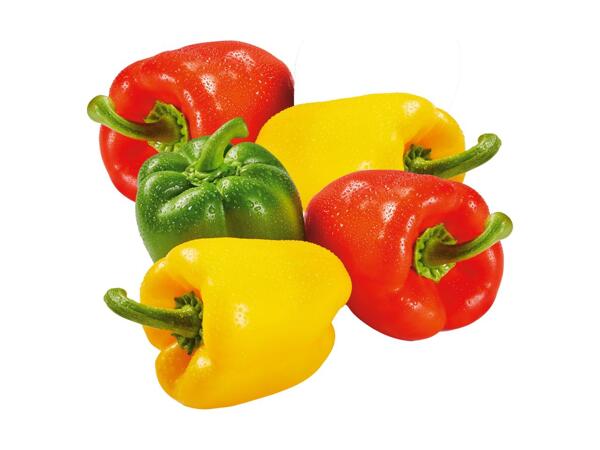 XXL Mixed Peppers