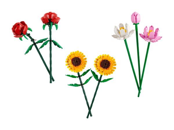Fleurs modélisées