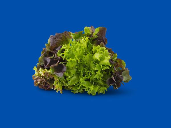 Mixed Leaf Lettuce