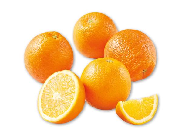 Appelsiner