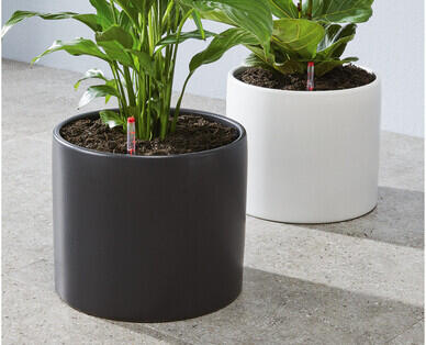 Large Ceramic Planter