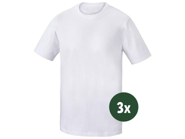 Men's T-Shirts