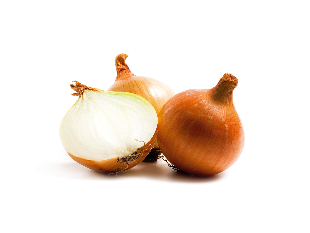 Oignons