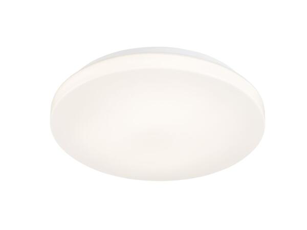 LED Ceiling Light