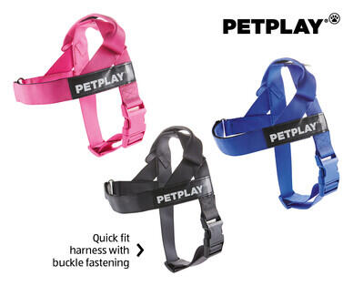 Medium or Large Dog Harness or Retractable Lead