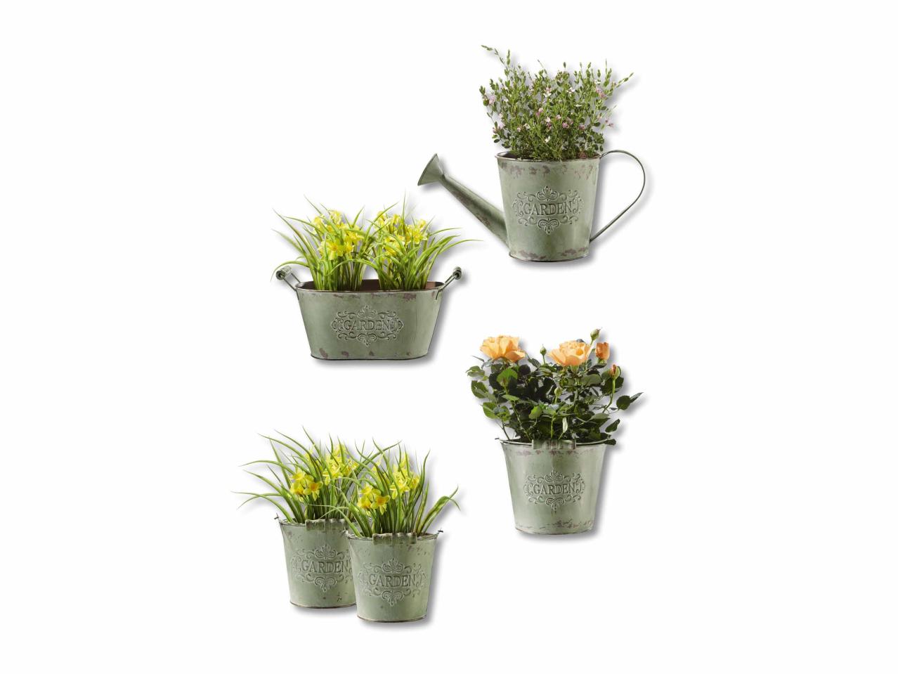 Pots de fleurs en métal