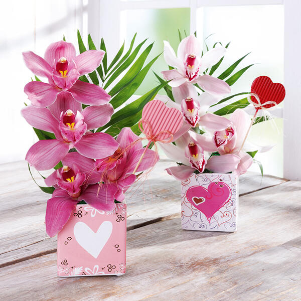 Orchideengesteck