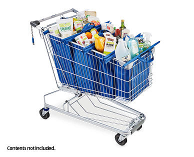 Trolley Bags