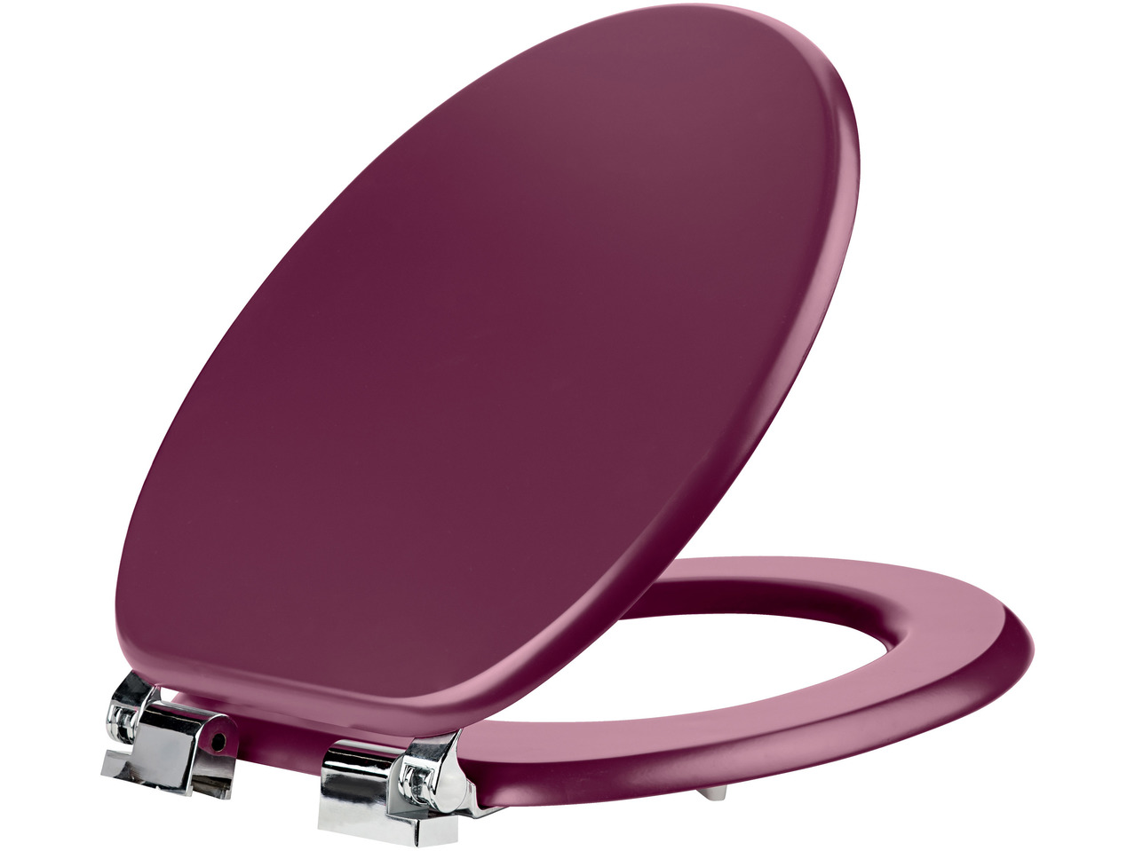Toilet Seat