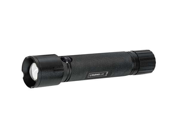 LED Torch with Power Bank