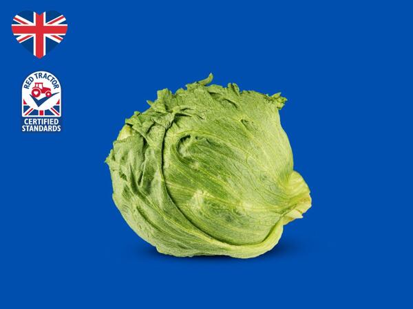 British Iceberg Lettuce
