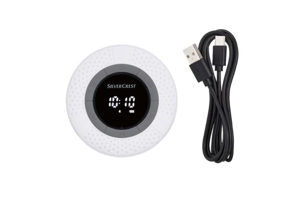 Bluetooth(R) Bathroom Speaker