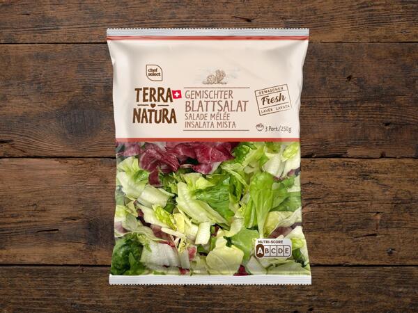 Salade mêlée