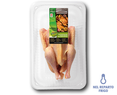 Polletto bio da razza leggera di gallina ovaiola NATURE SUISSE BIO
