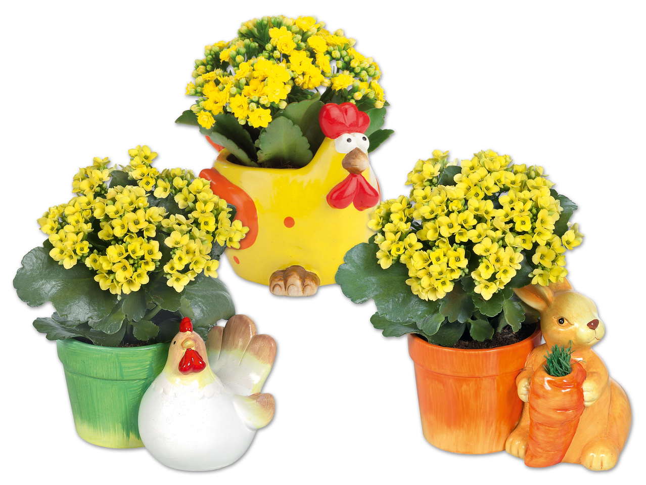 Bepflanzter Hahn, Hase oder Henne