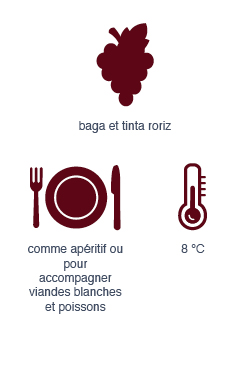 Vin rosé portugais