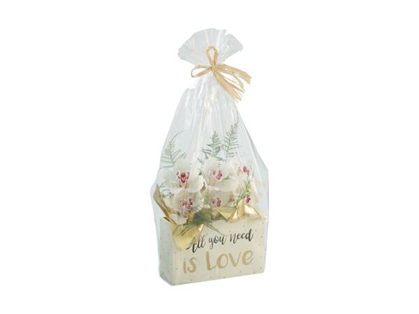 Cymbidium Gift Box