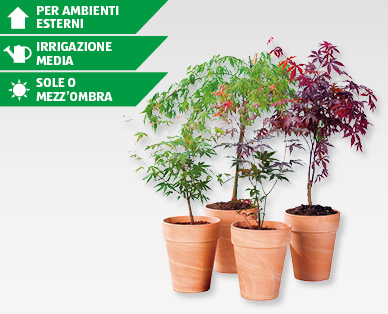 Acero GARDENLINE(R)