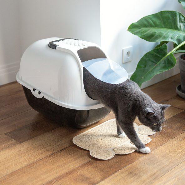 Toilette pour chats