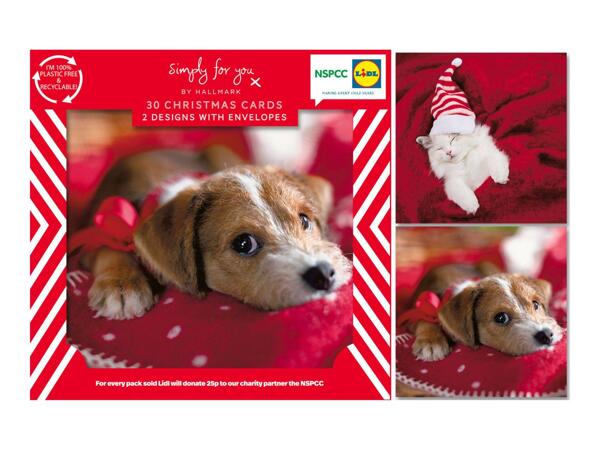 Simply For You NSPCC Mini Christmas Cards - 30 Pack