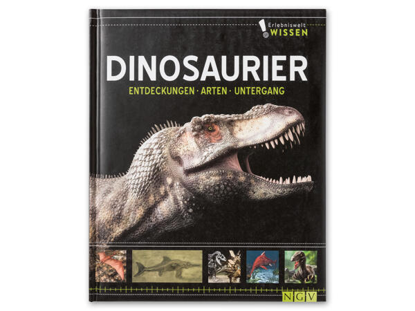 Kinder Wissensbuch