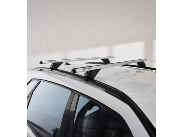 Car roof bars