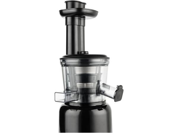 300W Slow Juicer