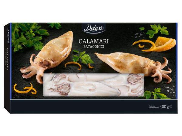 Patagonian Squid